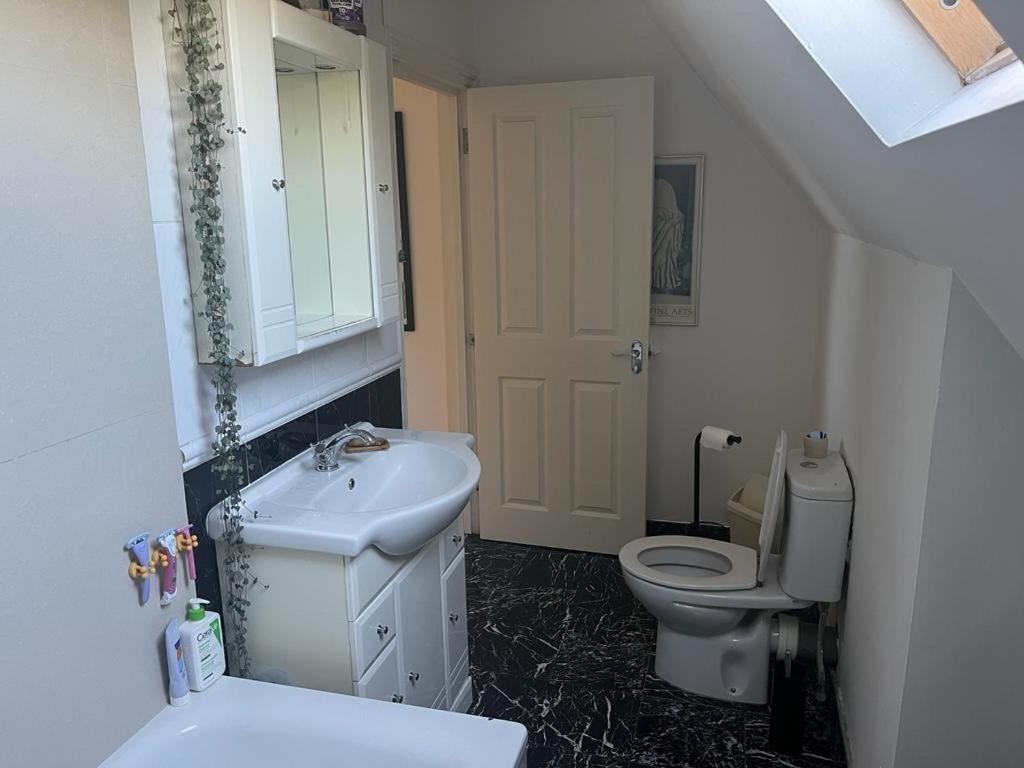 2 Bedroom Top Floor Flat, West Dulwich Free Street Parking Londres Exterior foto